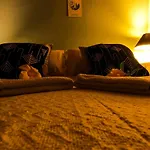 Amazonia Casa Hostal