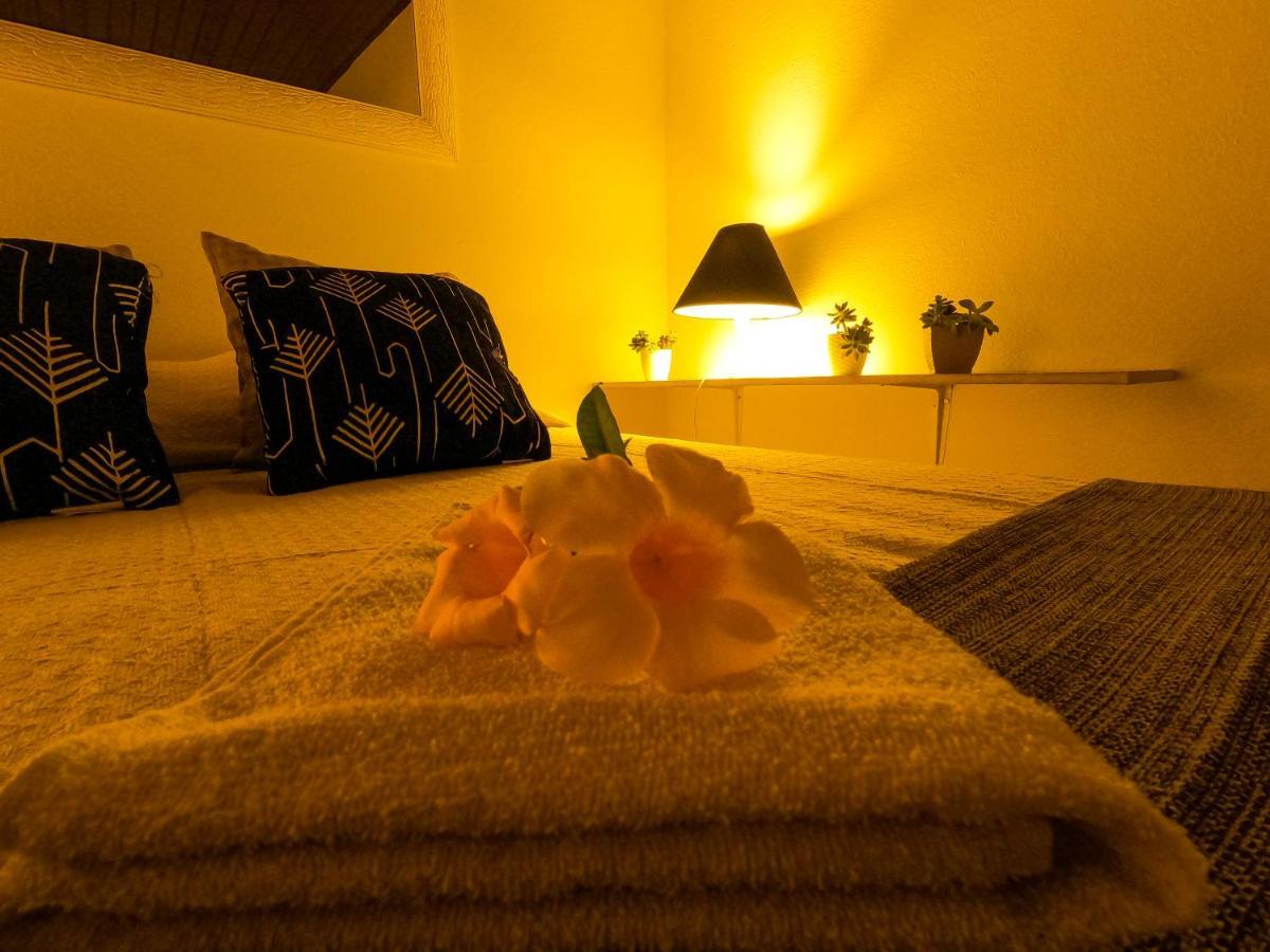 Amazonia Casa Hostel *